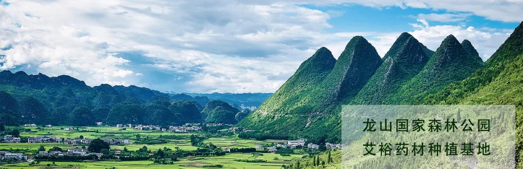 悠久文化底蘊 鋪就品牌背景