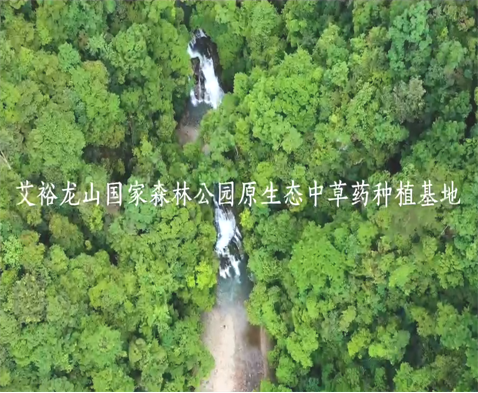 龍山國家森林公園