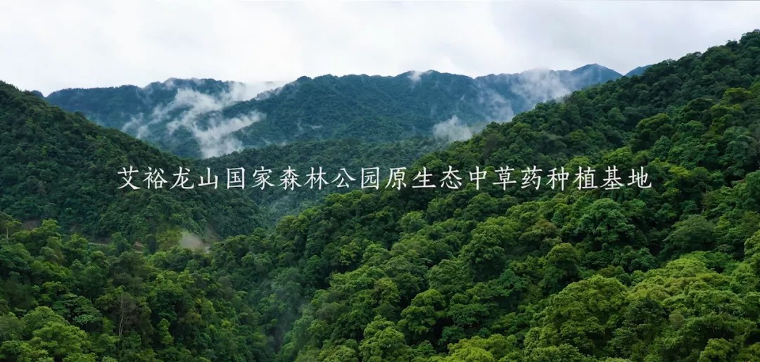 “裕我同行”丨選對產(chǎn)品,助攻保護力UP! “裕我同行”丨選對產(chǎn)品,助攻保護力UP!